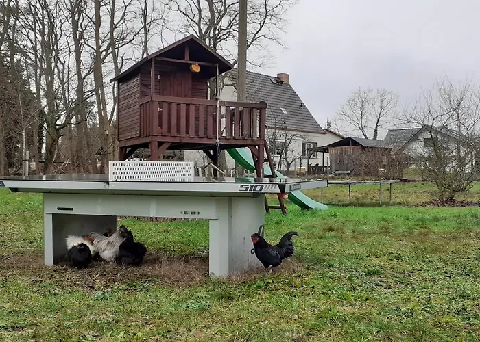 شقة Zur Alten بورغ